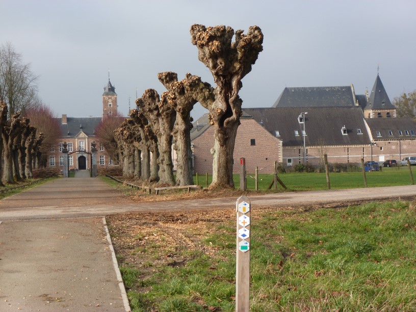 4Achterkant 816 x 612